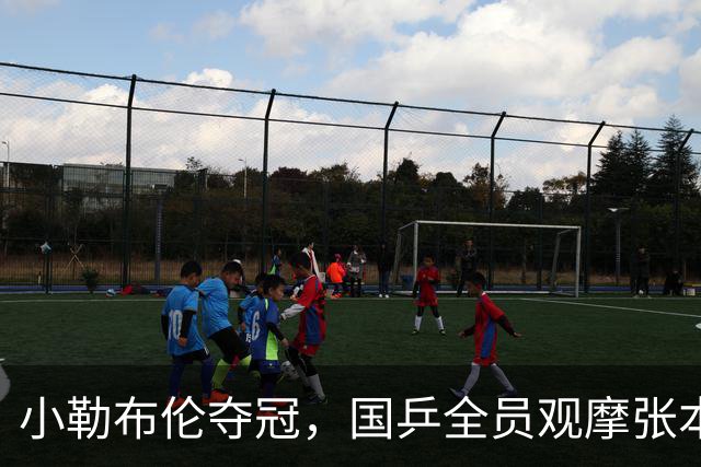 小勒布伦夺冠，国乒全员观摩张本智和失利之战