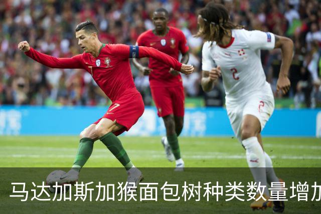 马达加斯加猴面包树种类数量增加至七，DNA分析揭示新物种